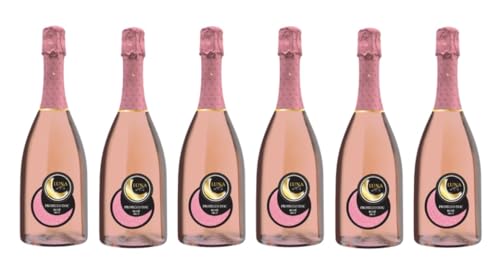 6x 0,75l - Luna d'Or - Cuvée Spumante - Rosato - extra dry - Veneto I.G.P. - Italien - Rosé-Schaumwein trocken von Le Contesse