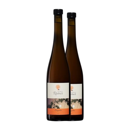 Le Vignoble du Rêveur Pinot Singulier Riesling Alsace 75 cl Weißwein (Karton mit 2 Flaschen von 75 cl) von Le Vignoble du Rêveur