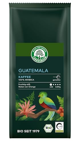 LEBENSBAUM Bio Guatemala Kaffee gemahlen, Bio Röstkaffee aus 100% Arabica-Bohnen, mild-kräftiger Geschmack, 250 g von Lebensbaum