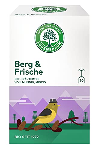 Lebensbaum Berg & Frische, Bio-Kräutertee, Kräuterteemischung mit Apfelminze & Drachenkopfmelisse, vegan, 3er Pack, 3 x 20 Teebeutel (3 x 40g) von Lebensbaum