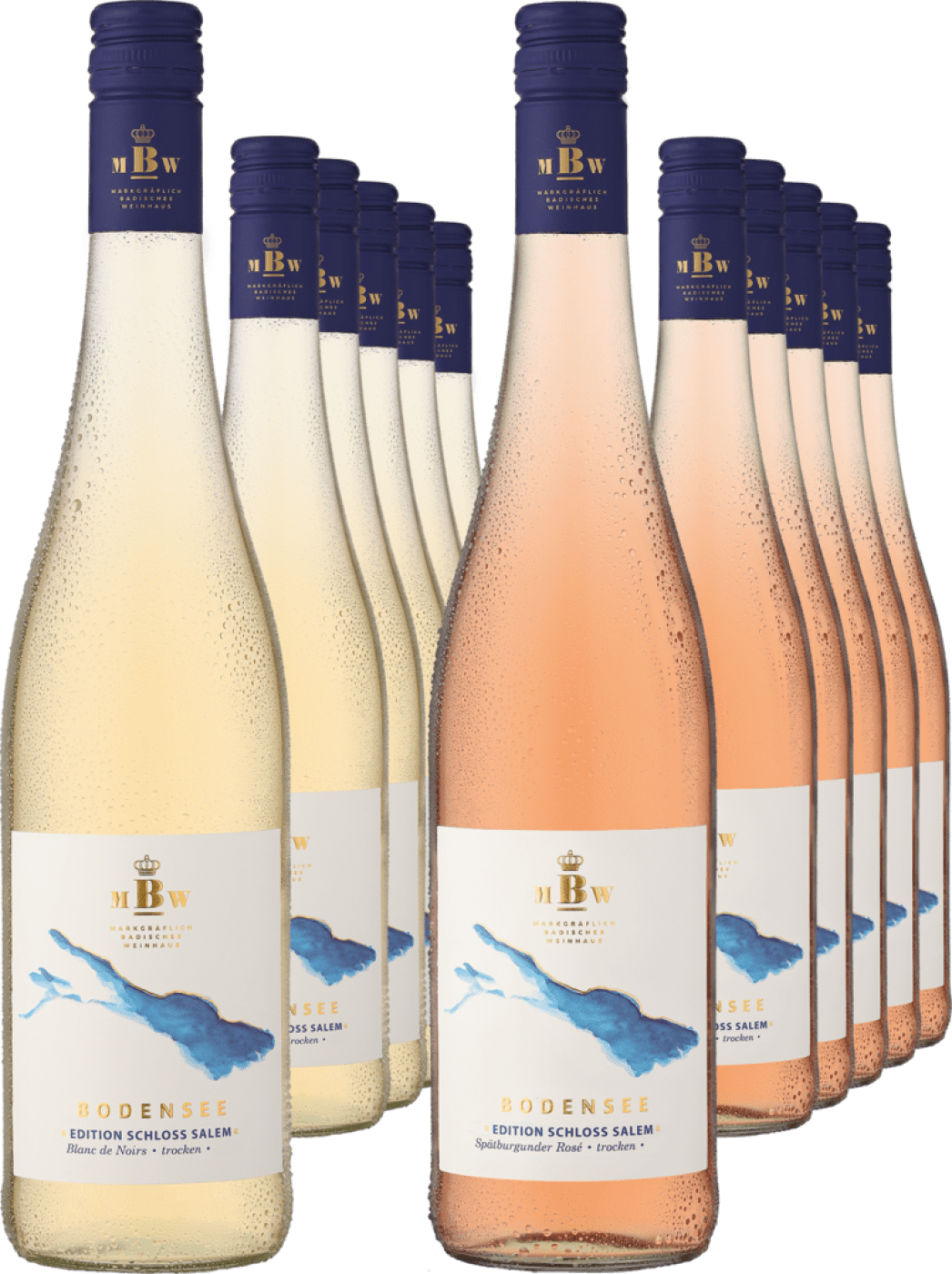 12er-PAKET »Gemischtes Doppel: Schloss Salem Blanc de Noirs & Rosé«