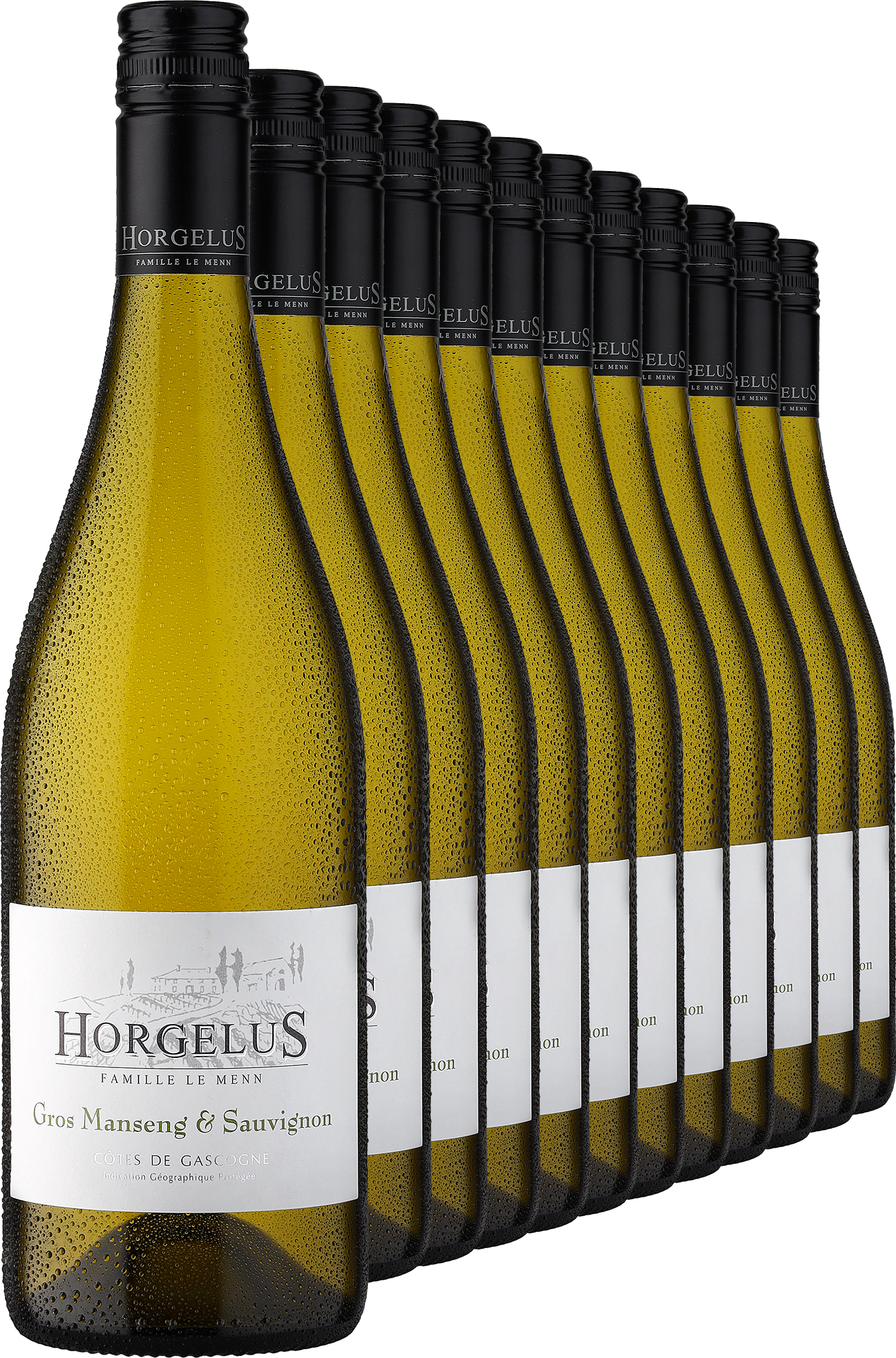 2023 Horgelus Gros Manseng & Sauvignon im 12er-Vorratspaket