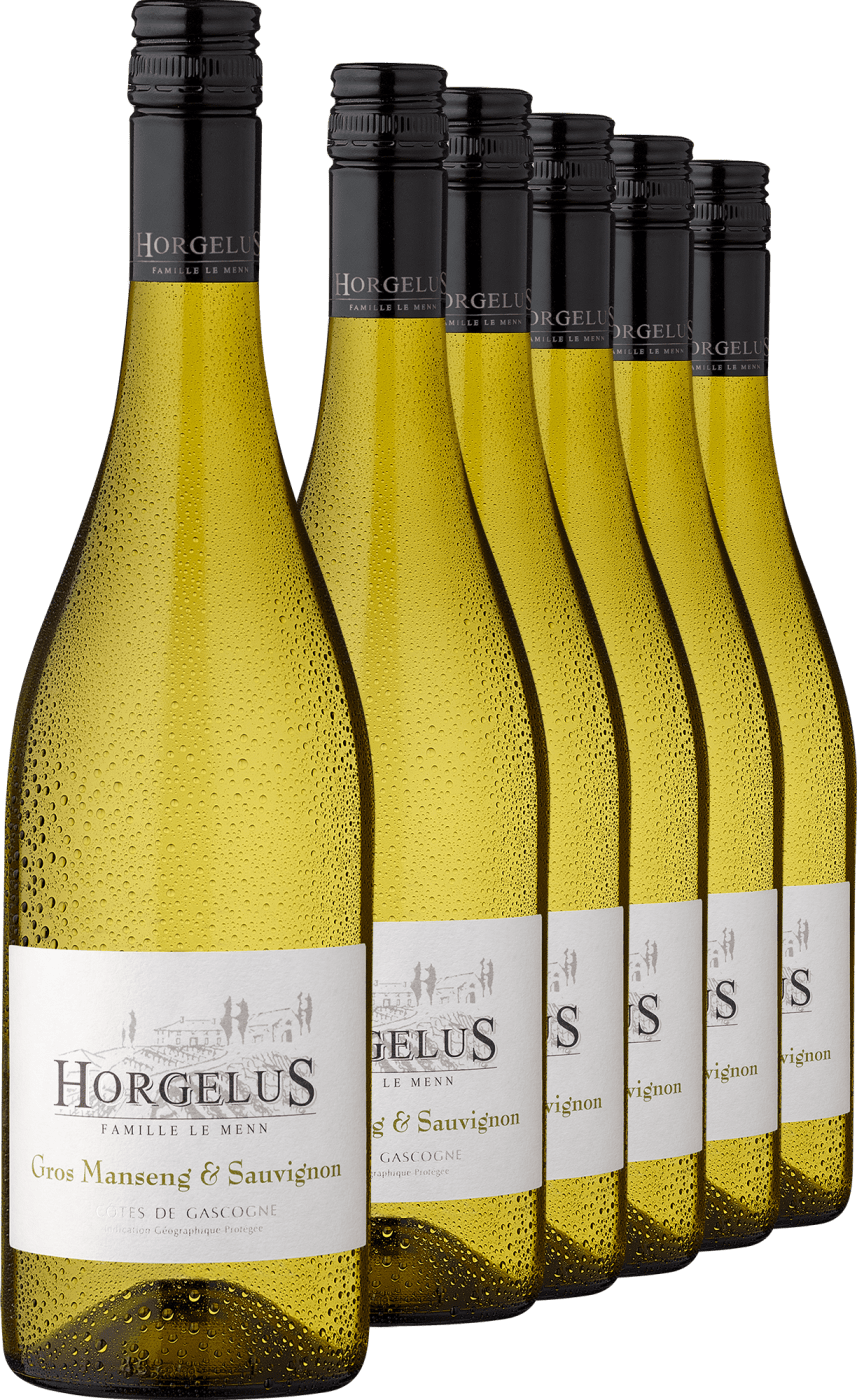 2023 Horgelus Gros Manseng & Sauvignon im 6er-Vorratspaket