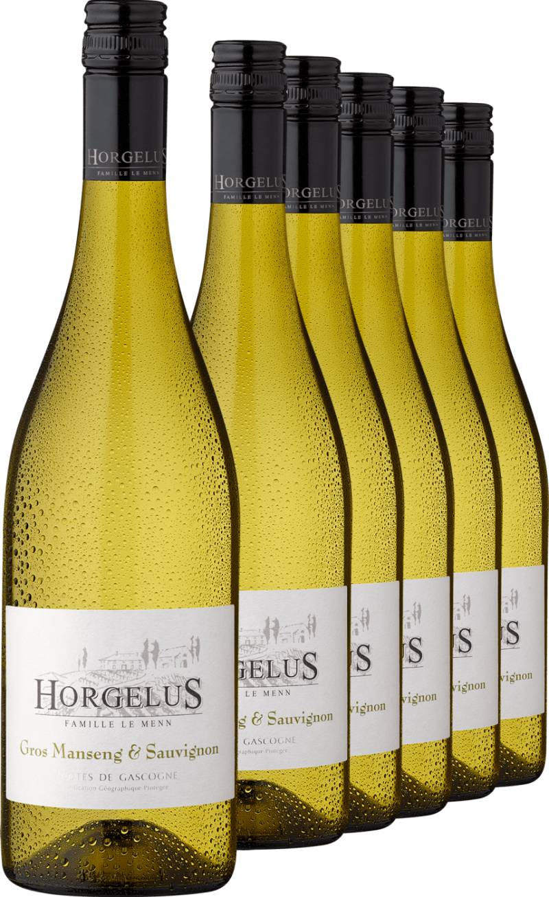 2023 Horgelus Gros Manseng & Sauvignon im 6er-Vorratspaket