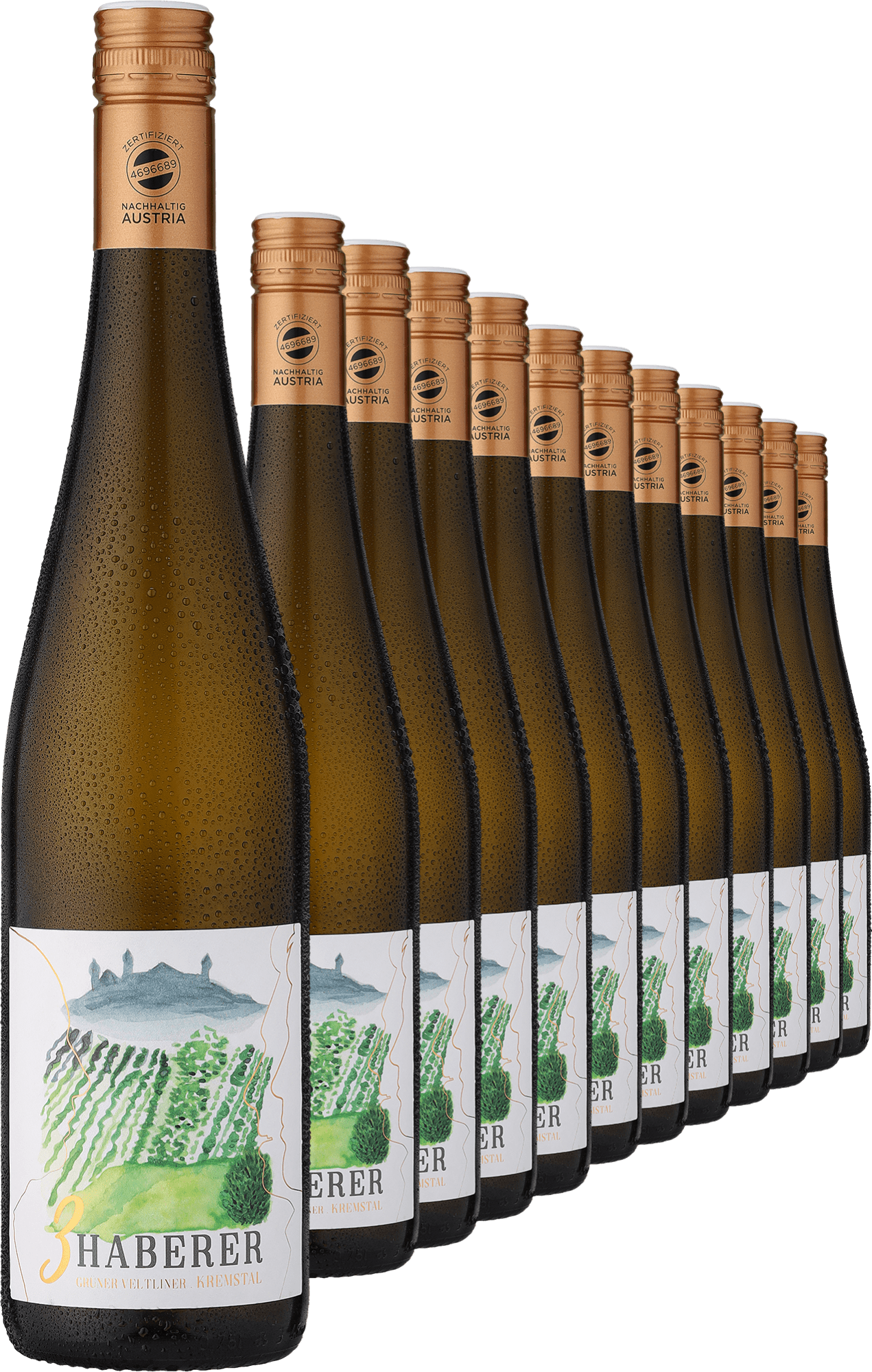 2024 Müller »3 Haberer« Grüner Veltliner im 12er-Vorratspaket