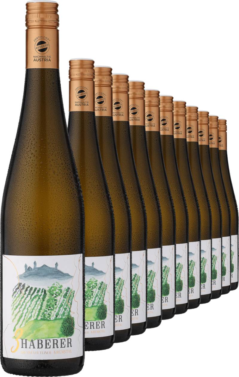 2024 Müller »3 Haberer« Grüner Veltliner im 12er-Vorratspaket