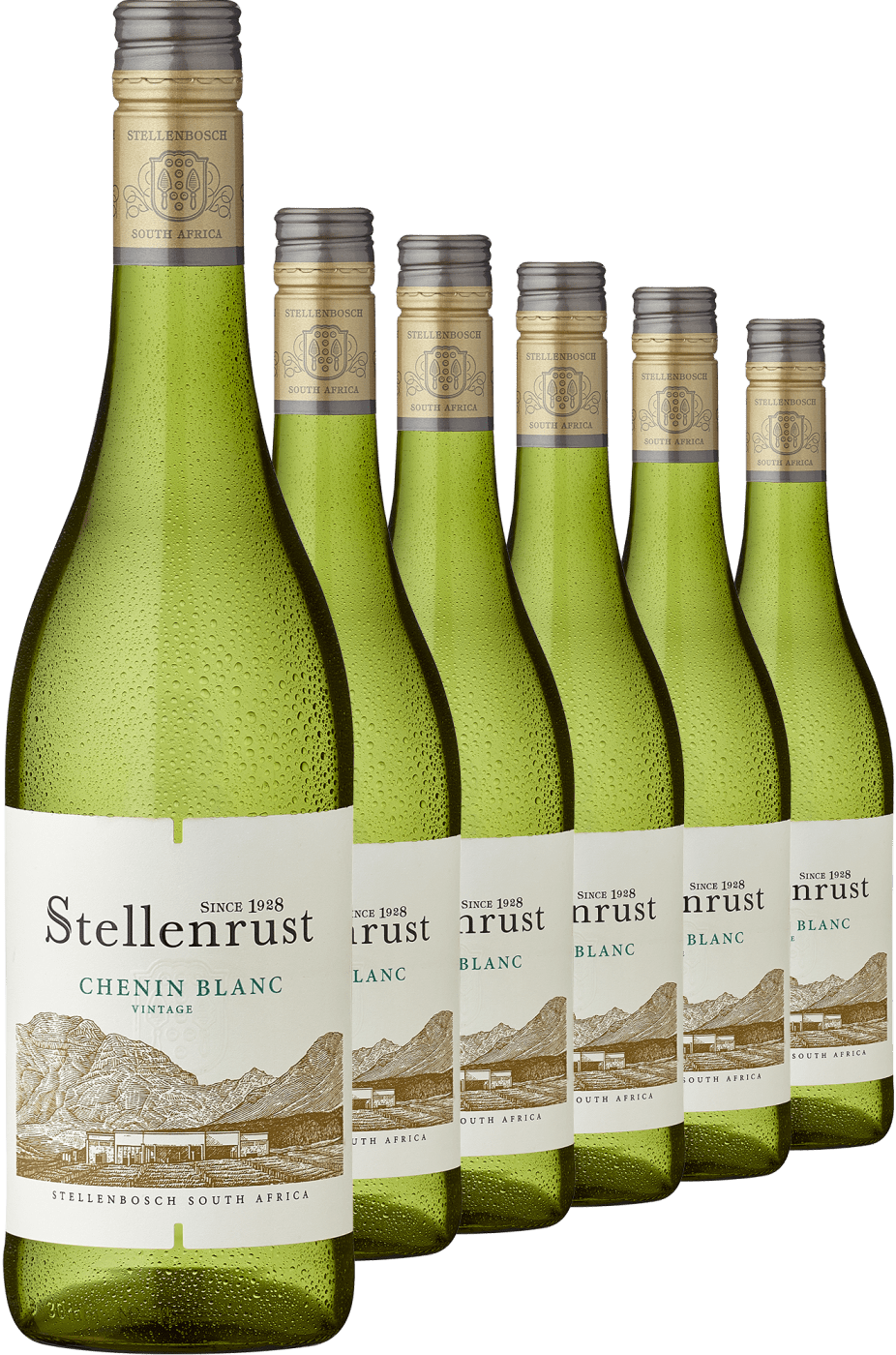 2023 Stellenrust Chenin Blanc im 6er-Vorratspaket