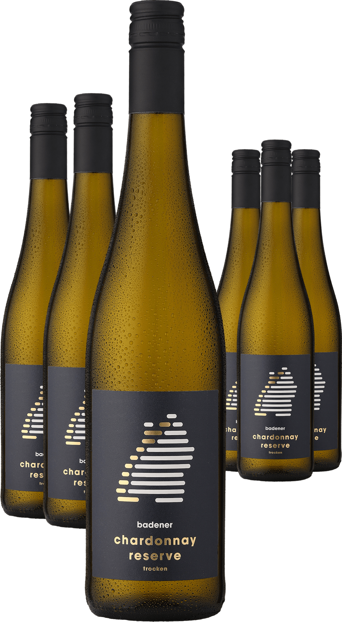 3+3-PAKET badener Chardonnay Reserve 2023