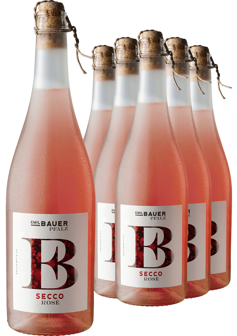 5+1-PAKET Emil Bauer Secco Rosé