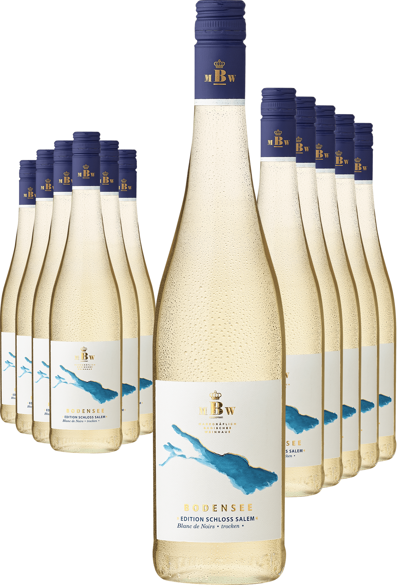 6+6-PAKET Markgräflich Badisches Weinhaus Bodensee »Edition Schloss Salem« Blanc de Noirs 2023