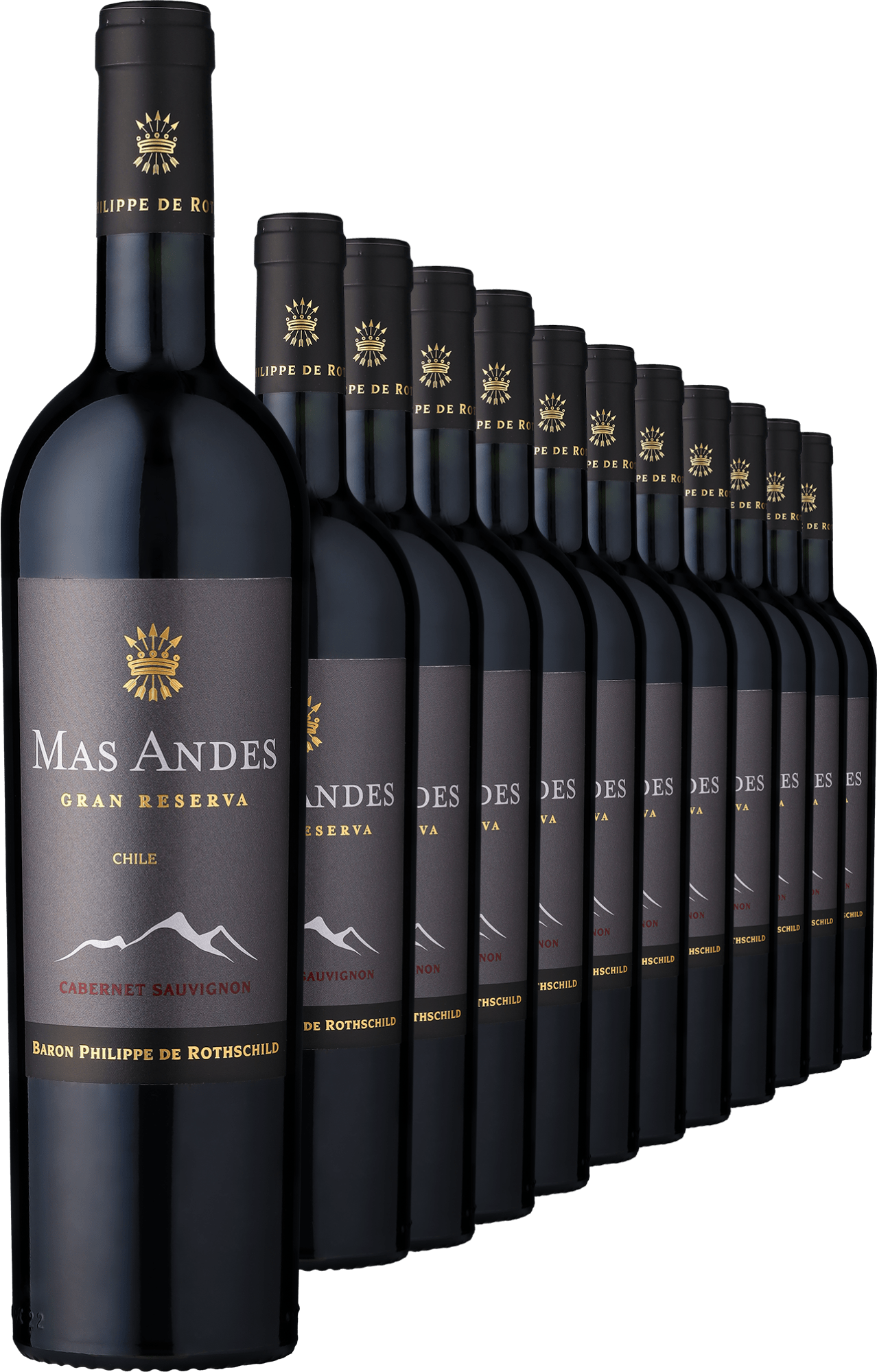 2021 Rothschild Mas Andes Gran Reserva Cabernet Sauvignon im 12er-Vorratspaket