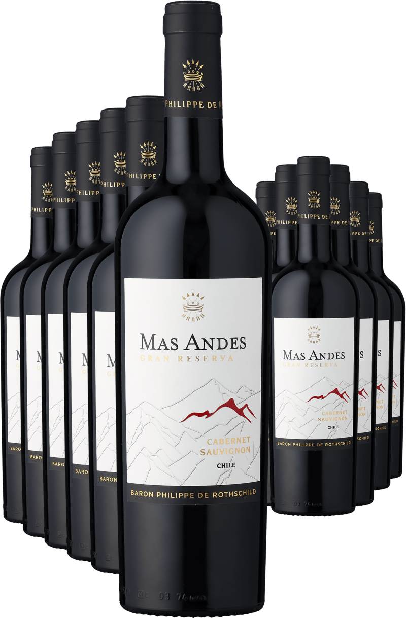 6+6-PAKET Rothschild Mas Andes Gran Reserva Cabernet Sauvignon 2022