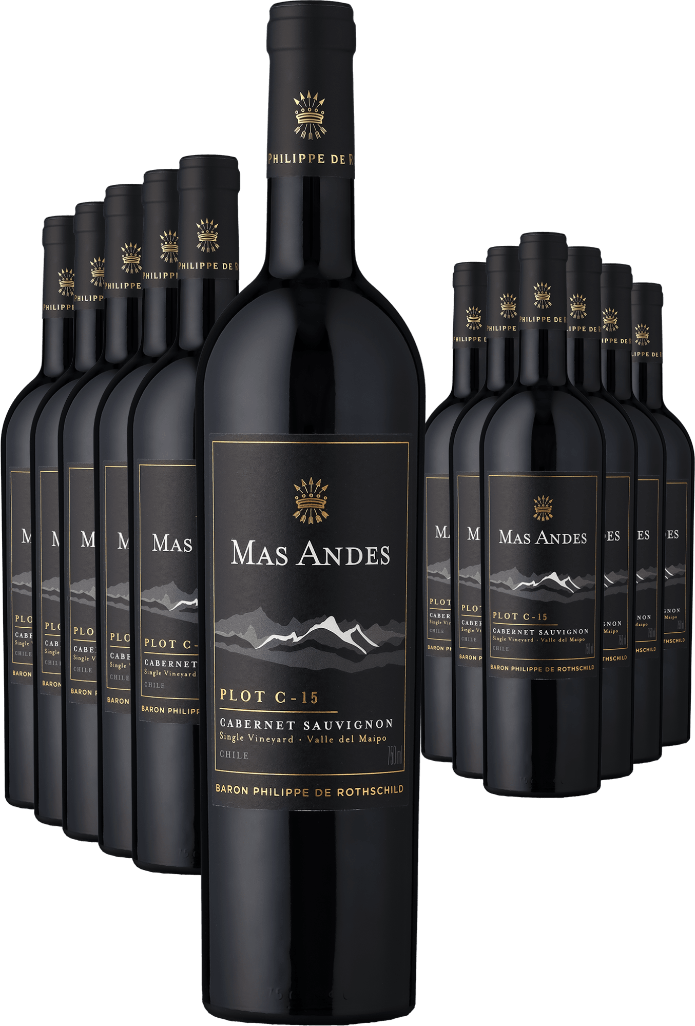 6+6-PAKET Rothschild Mas Andes PLOT C-15 Cabernet Sauvignon 2022