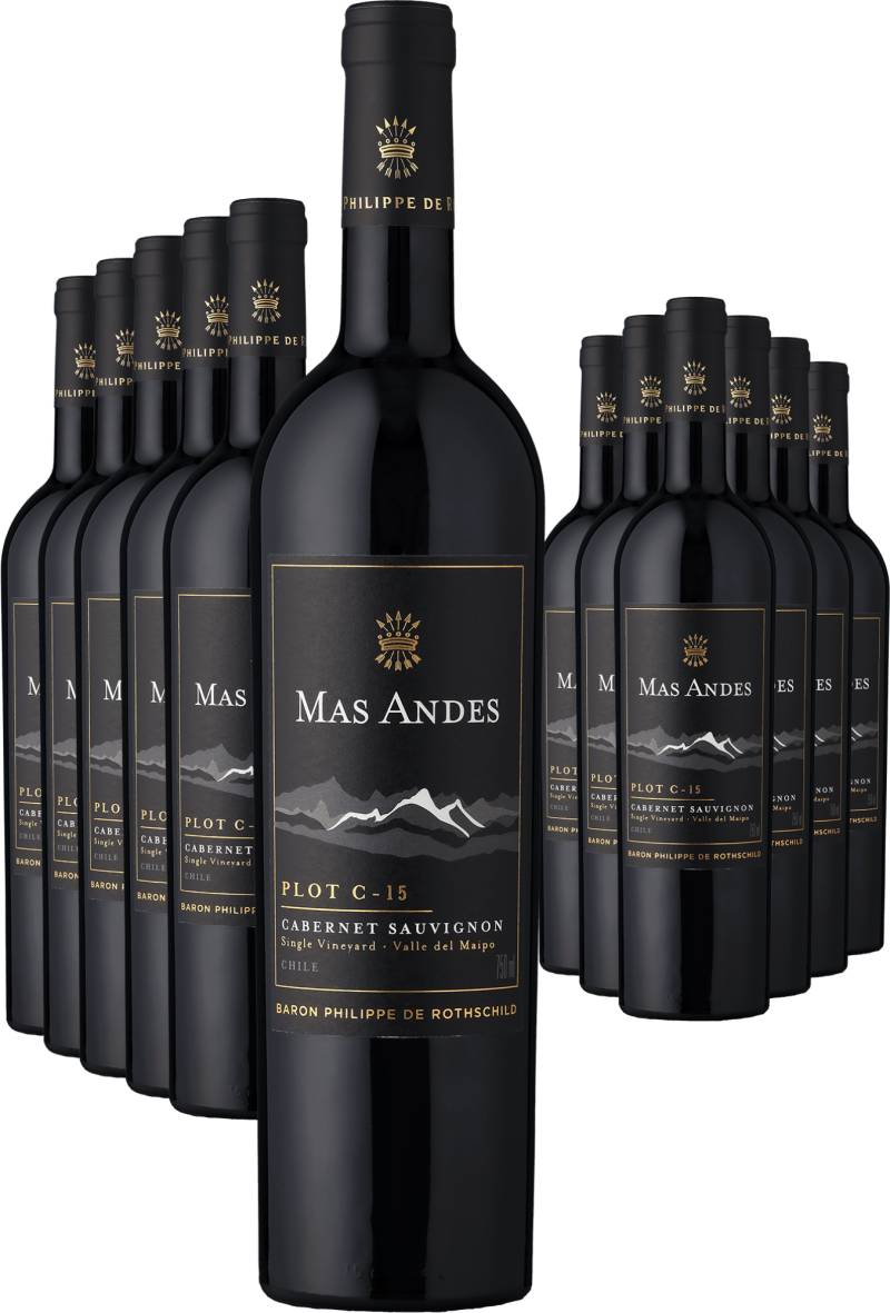 6+6-PAKET Rothschild Mas Andes PLOT C-15 Cabernet Sauvignon 2022