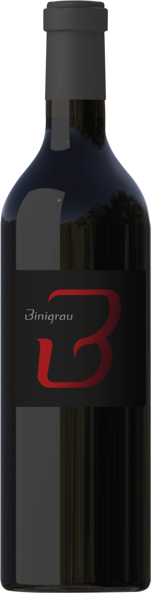 Binigrau B- Negre - 2017