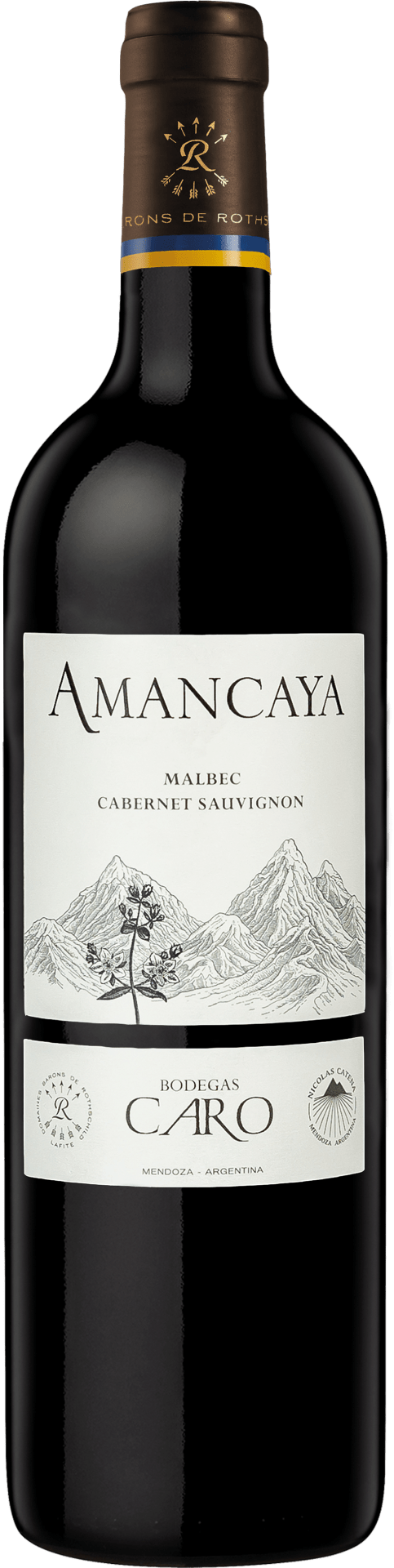 Bodegas Caro Amancaya - 2021