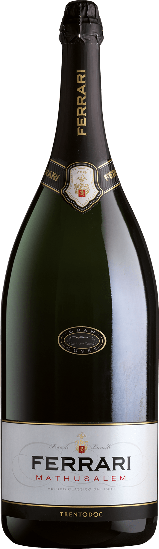 Cantine Ferrari Brut Trentodoc Methusalem - 2018