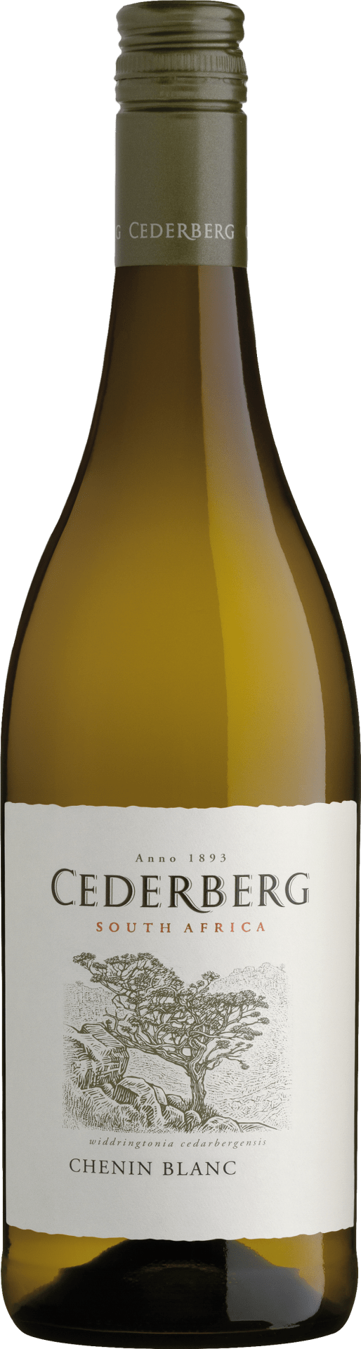 Cederberg Chenin Blanc WO - 2023