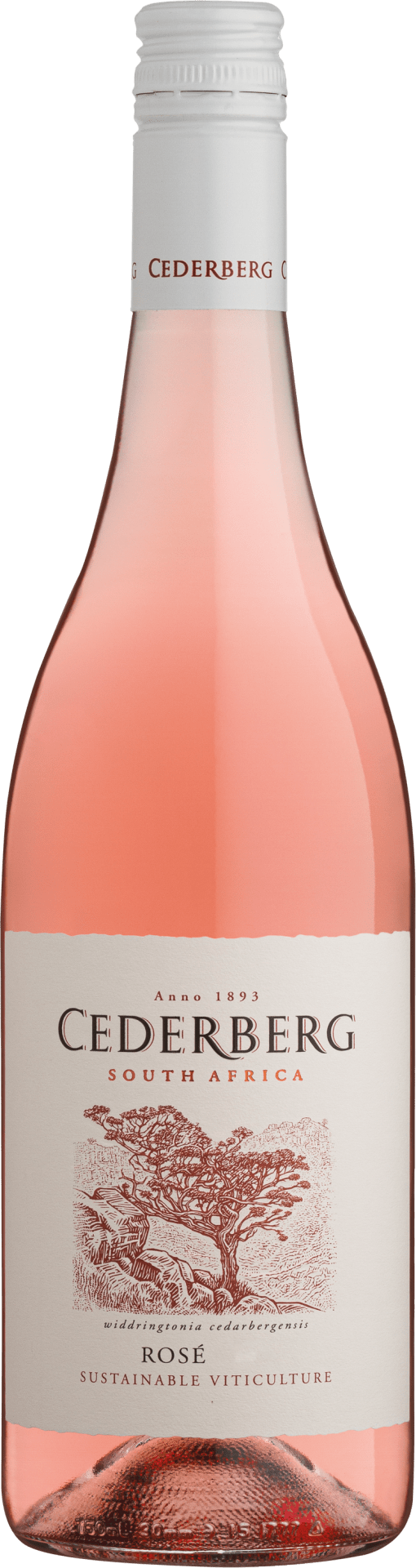 Cederberg Sustainable Rosé - 2021