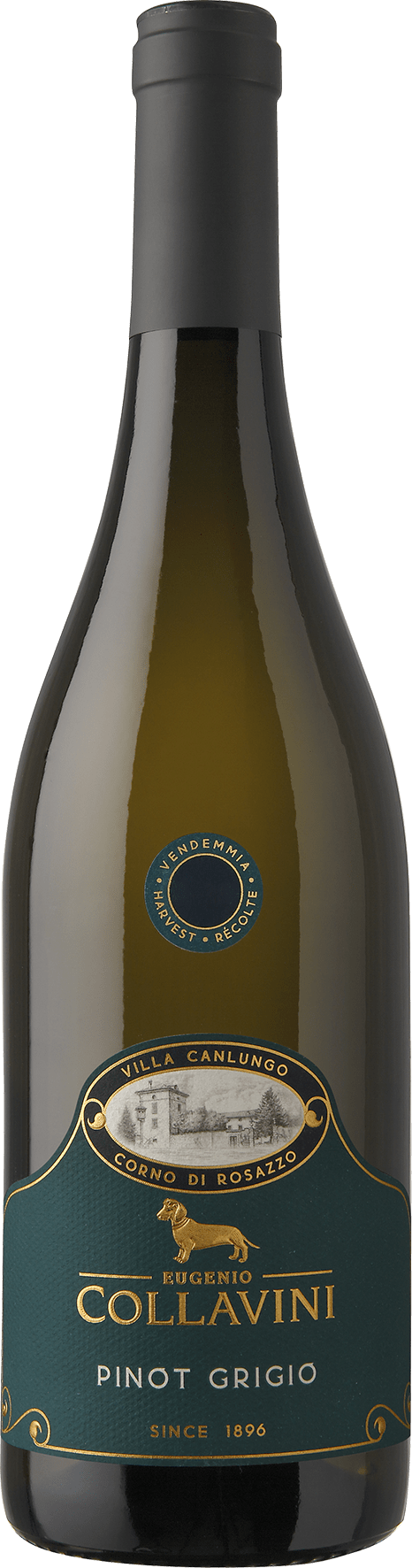 Collavini Villa Canlungo Pinot Grigio Collio DOC - 2023