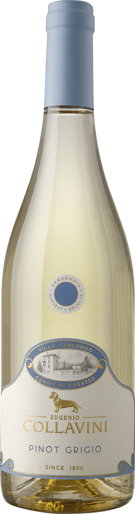 Collavini Villa Canlungo Pinot Grigio Friuli Venezia Giulia DOC - 2023