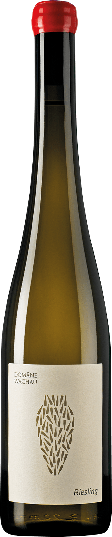 Domäne Wachau Riesling Amphora - 2022