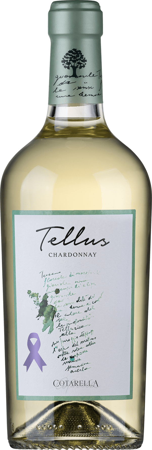 Falesco Tellus Chardonnay Bianco Lazio IGP - 2022