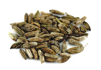 Fenchel braun bitter BIO ganz, 100g