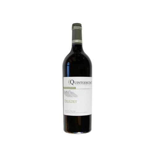 Fiano di Avellino 'Exultet' Quintodecimo 2020, Campano-Weißwein, DOCG-Weißwein, 13% vol, 750 ml