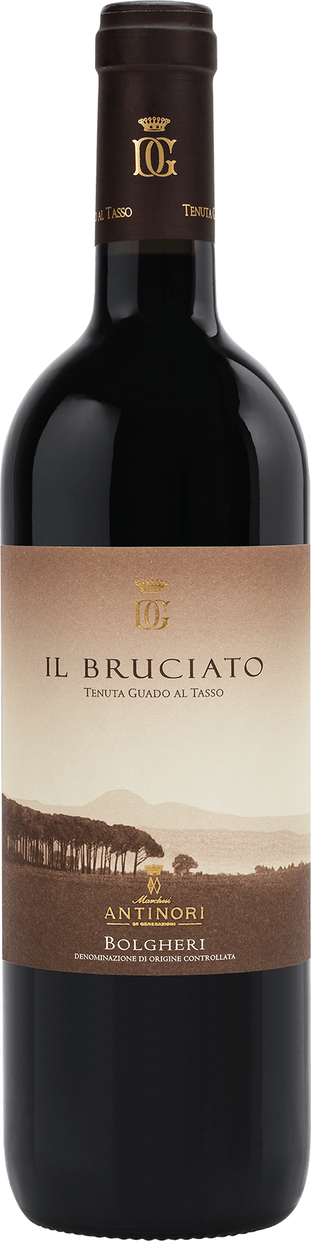 Guado al Tasso Il Bruciato Bolgheri DOC - 2022