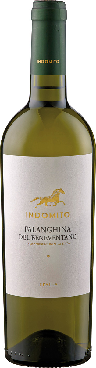 Indomito Falanghina del Beneventano IGT