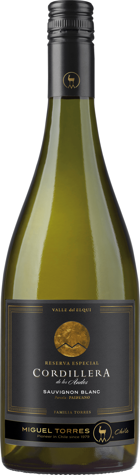 Miguel Torres Chile Cordillera Sauvignon Blanc Elqui Valley - 2022