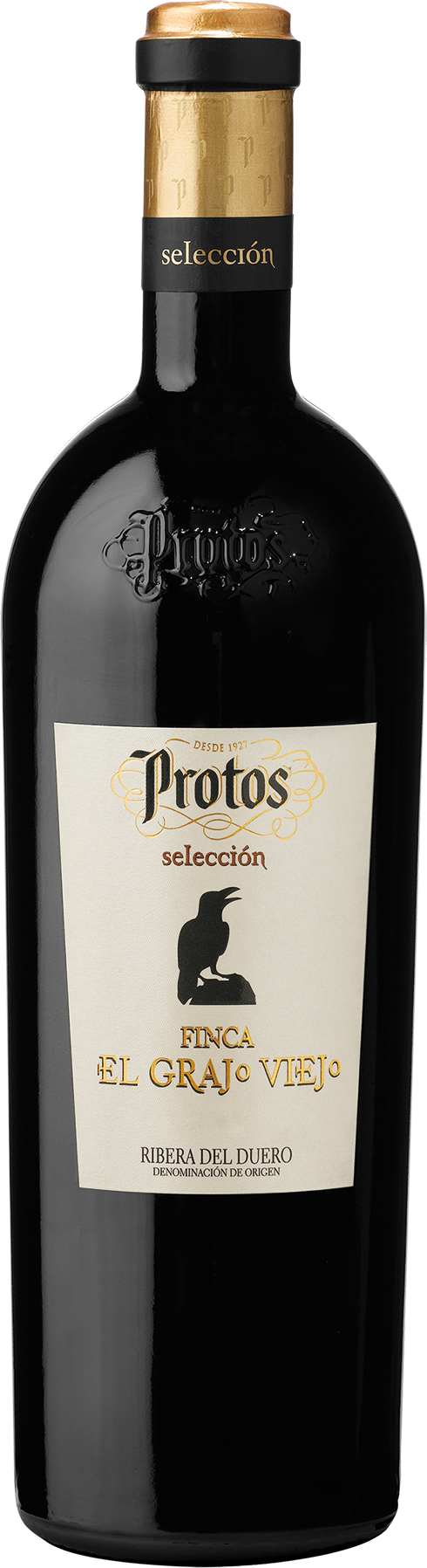 Protos - Finca el Grajo Viejo - 2018