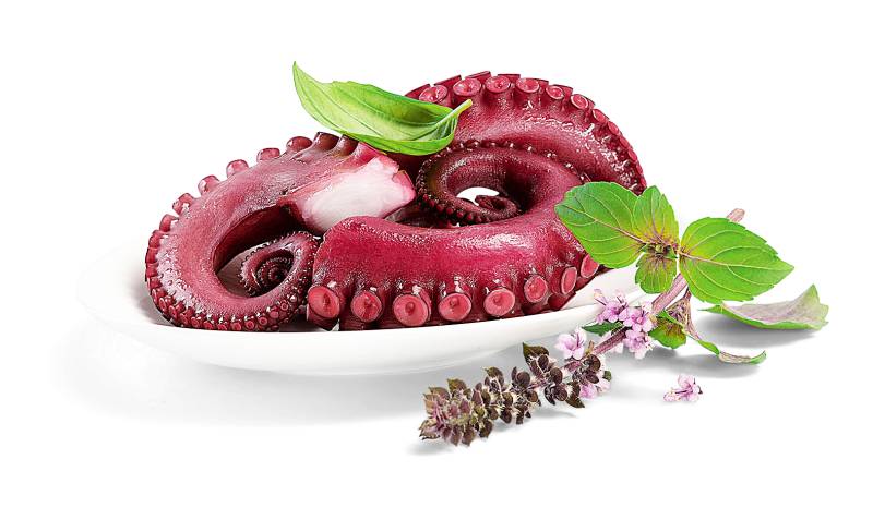 Pulpo gekocht von Alois Dallmayr KG