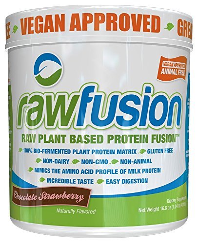 Raw Fusion Chocolate Strawberry S.A.N. 1 lb Powder by S.A.N.