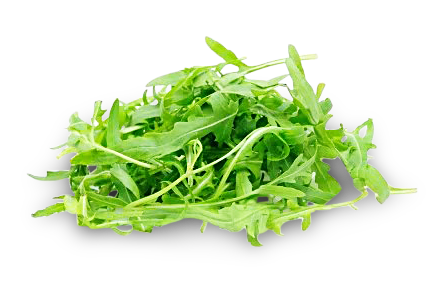 Rucola Salat von Weißenberger GbR