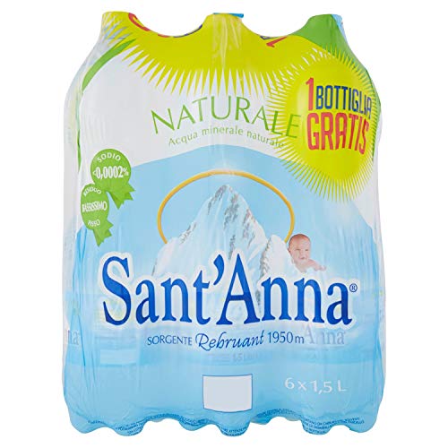 Sant'Anna Natürliches Wasser Quelle Vinadio, 6 x 1,5 l von Sant'Anna