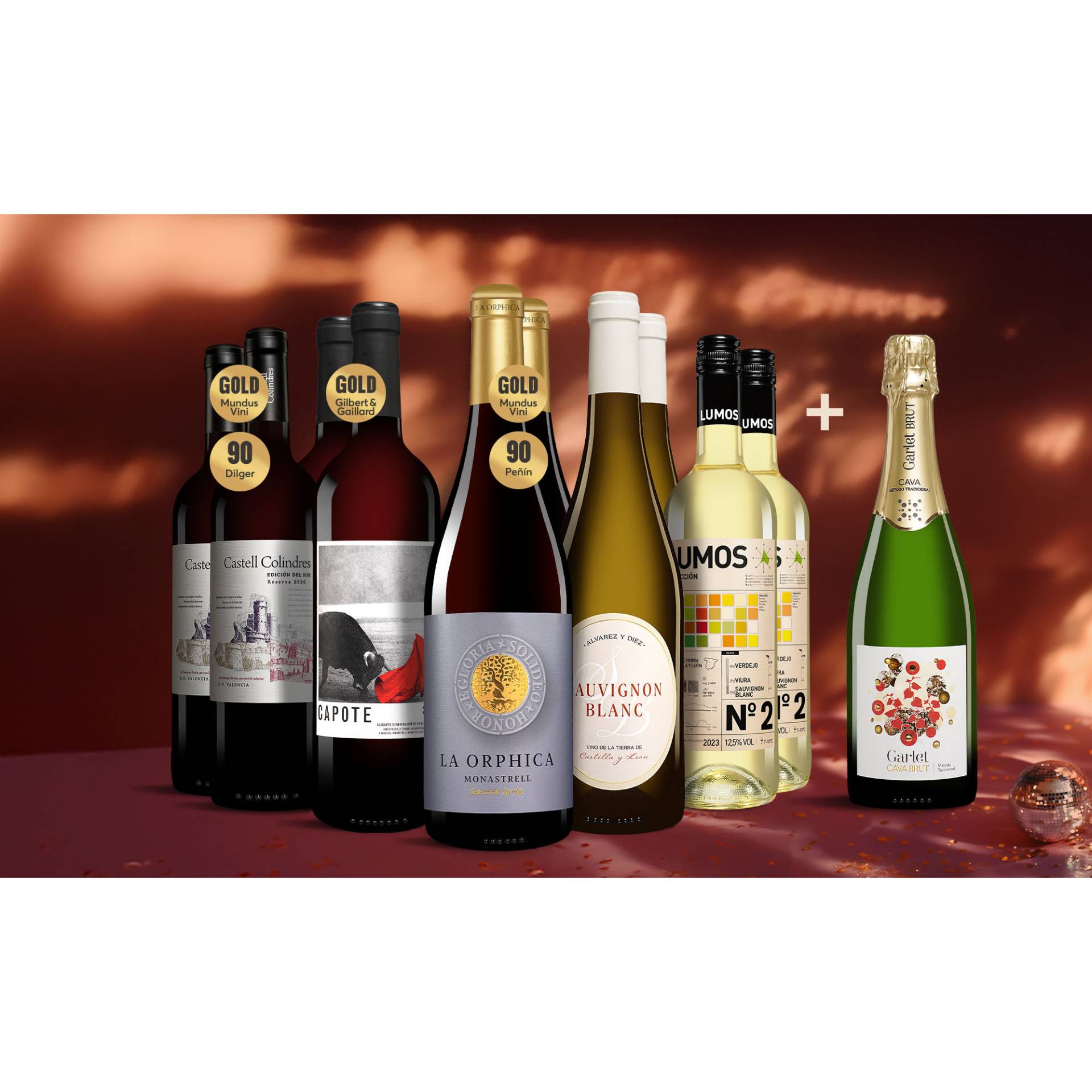 Silvester-Genießer-Paket  8.25L Weinpaket aus Spanien