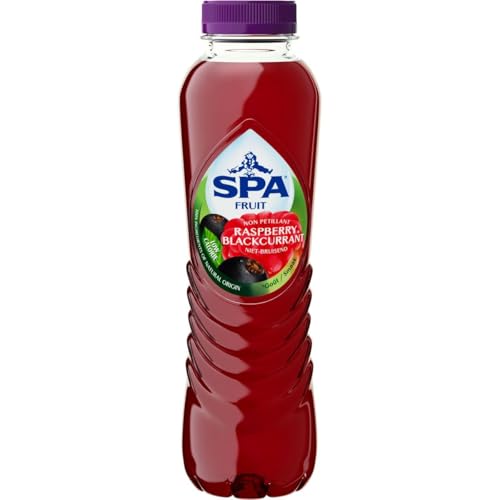 Spa - Obst - Himbeere Brombeere - 6 x 0,4 Liter