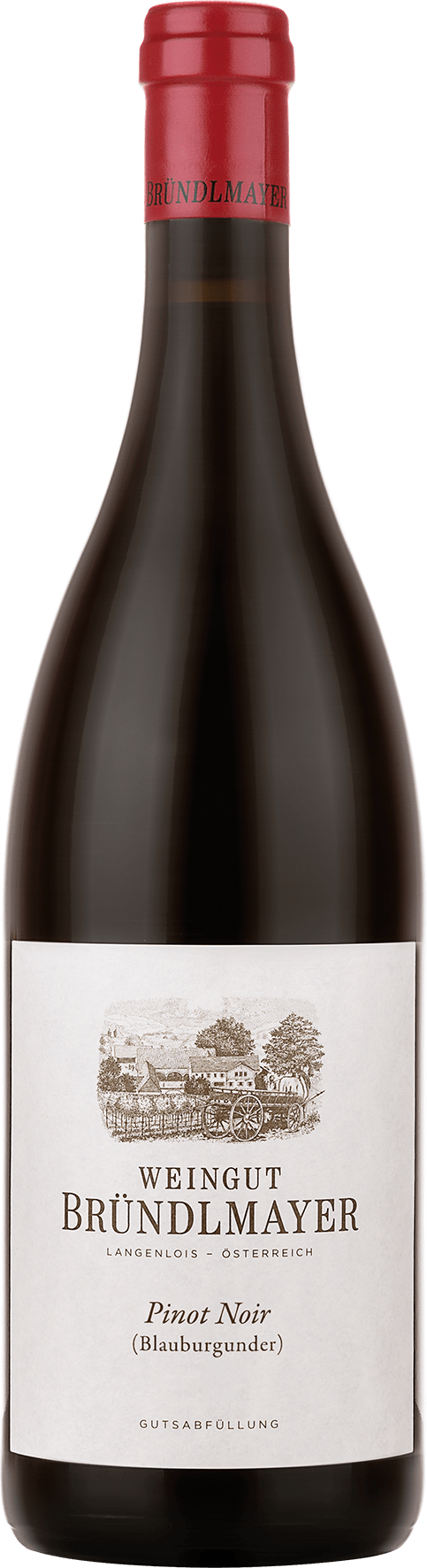 Weingut Bründlmayer Pinot Noir - 2018