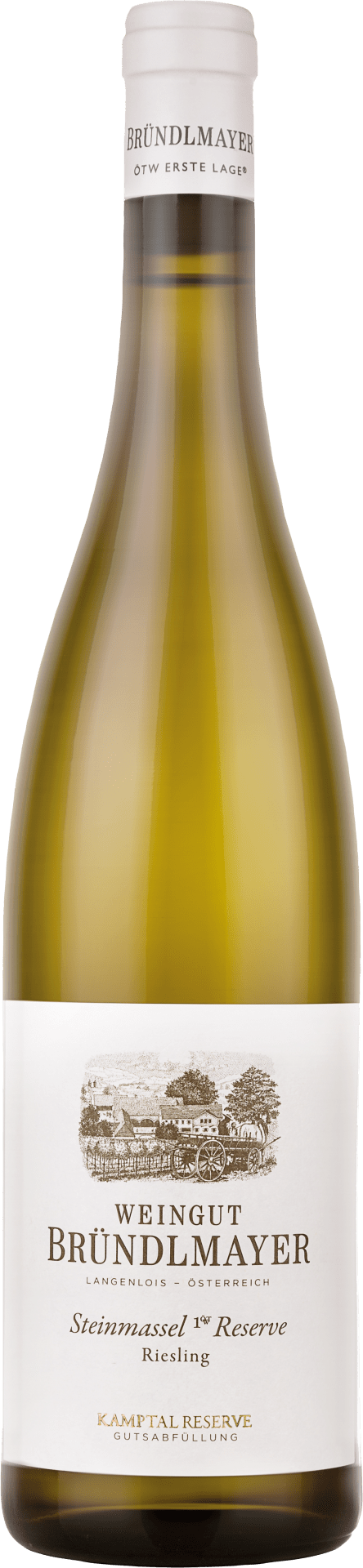 Weingut Bründlmayer Riesling Langloiser Steinmassl - 2015