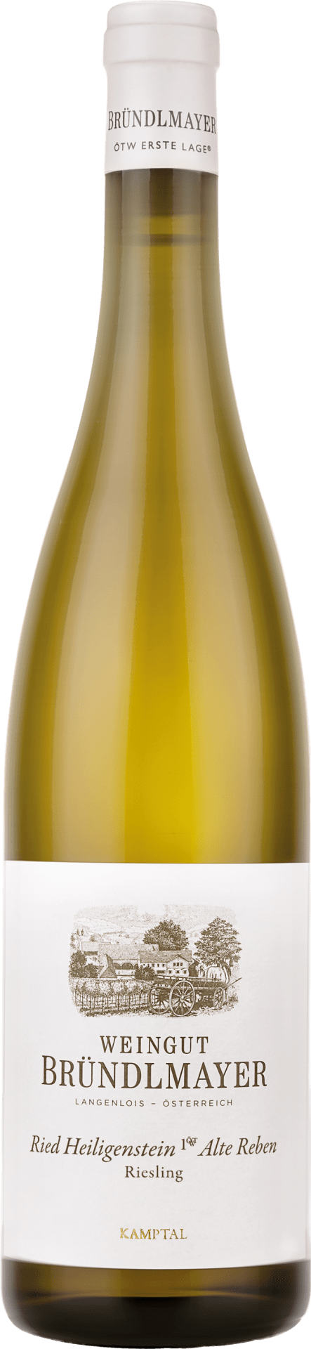 Weingut Bründlmayer Riesling Ried Heiligenstein Alte Reben 1ÖTW - 2022