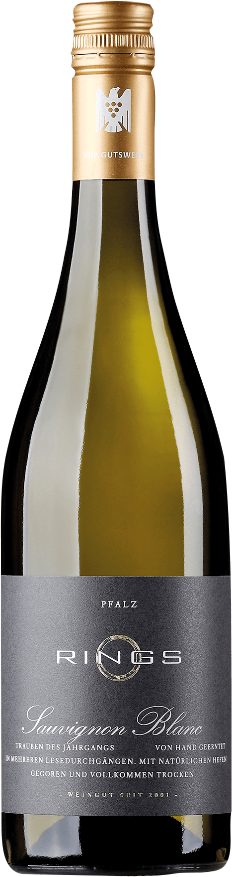 Weingut Rings Sauvignon Blanc QbA trocken - 2023