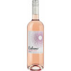 Les Caves Henri de Richemer 2024 Richemer Marselan Rosé Pays d'Oc IGP trocken von Les Caves Henri de Richemer