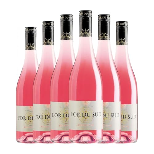 Les Vignobles Foncalieu Rosé Syrah Vin de Pays d'Oc 75 cl Rosé-Wein (Karton mit 6 Flaschen von 75 cl) von Les Vignobles Foncalieu