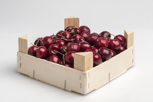 Kirschen frisch aus Chile in Premiumqualität im 5,0 kg Karton Klasse 1 von Lieferfrucht