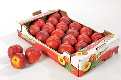 Nektarinen frisch 4 kg Karton von Lieferfrucht