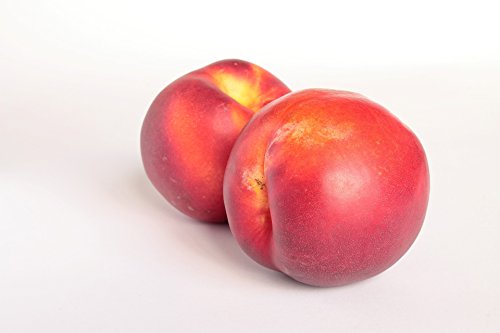 Nektarinen weiß, große Früchte 10 Stück von Lieferfrucht