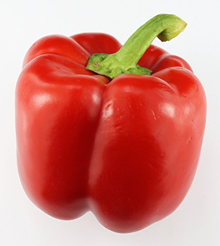 Paprika rot frisch, 5 er Packung aus Spanien von Lieferfrucht
