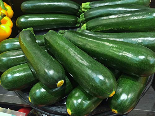 Zucchini frisch 1 kg Packung aus Spanien von Lieferfrucht